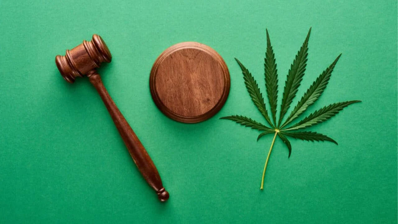 State vs Federal Cannabis Laws: What You Need to Know