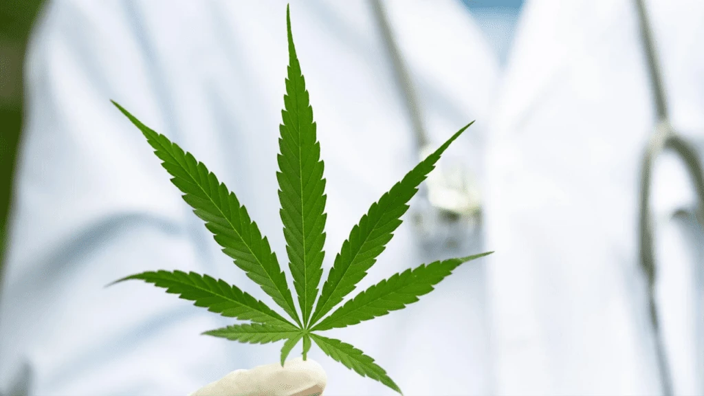 Get a Medical Marijuana Card in Missouri