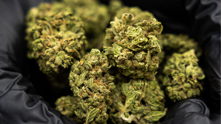In-Store deals (hands holding weed)
