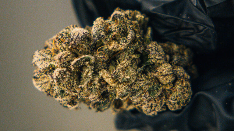 strawberry-cookies-blog-cta