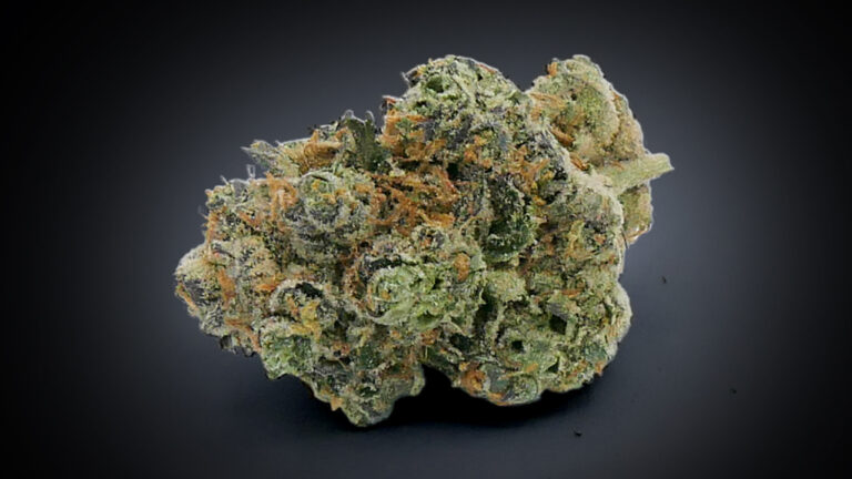 gmo-cookies-choice-cuts-cta