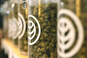 Deli Style Cannabis