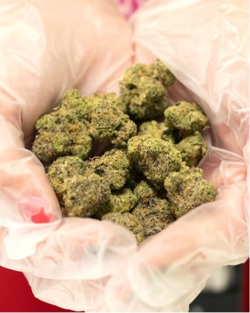 gloved hands holding VIBE Cannabis Blue Blockers
