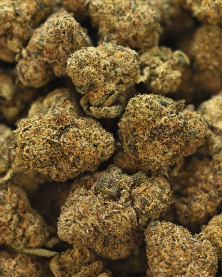 Daybreak 10gs Flower1