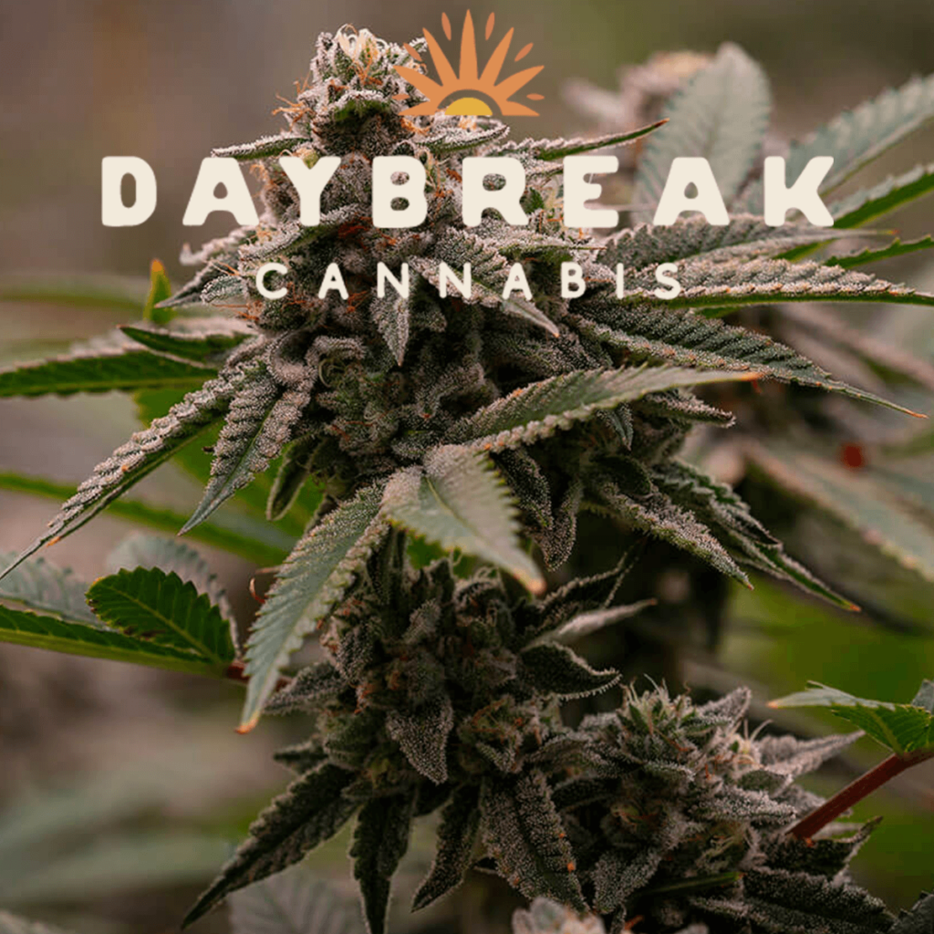 10 G’s by Daybreak Cannabis