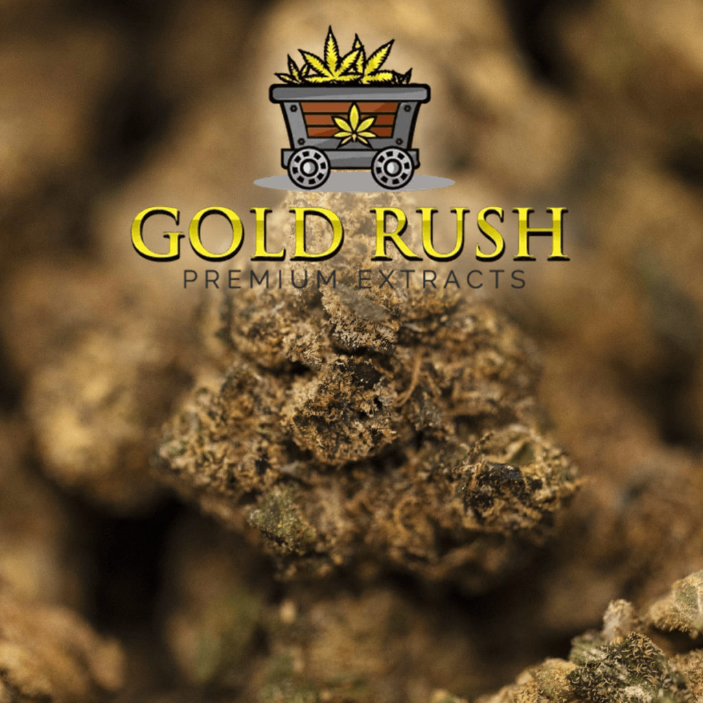 Goofiez by Gold Rush