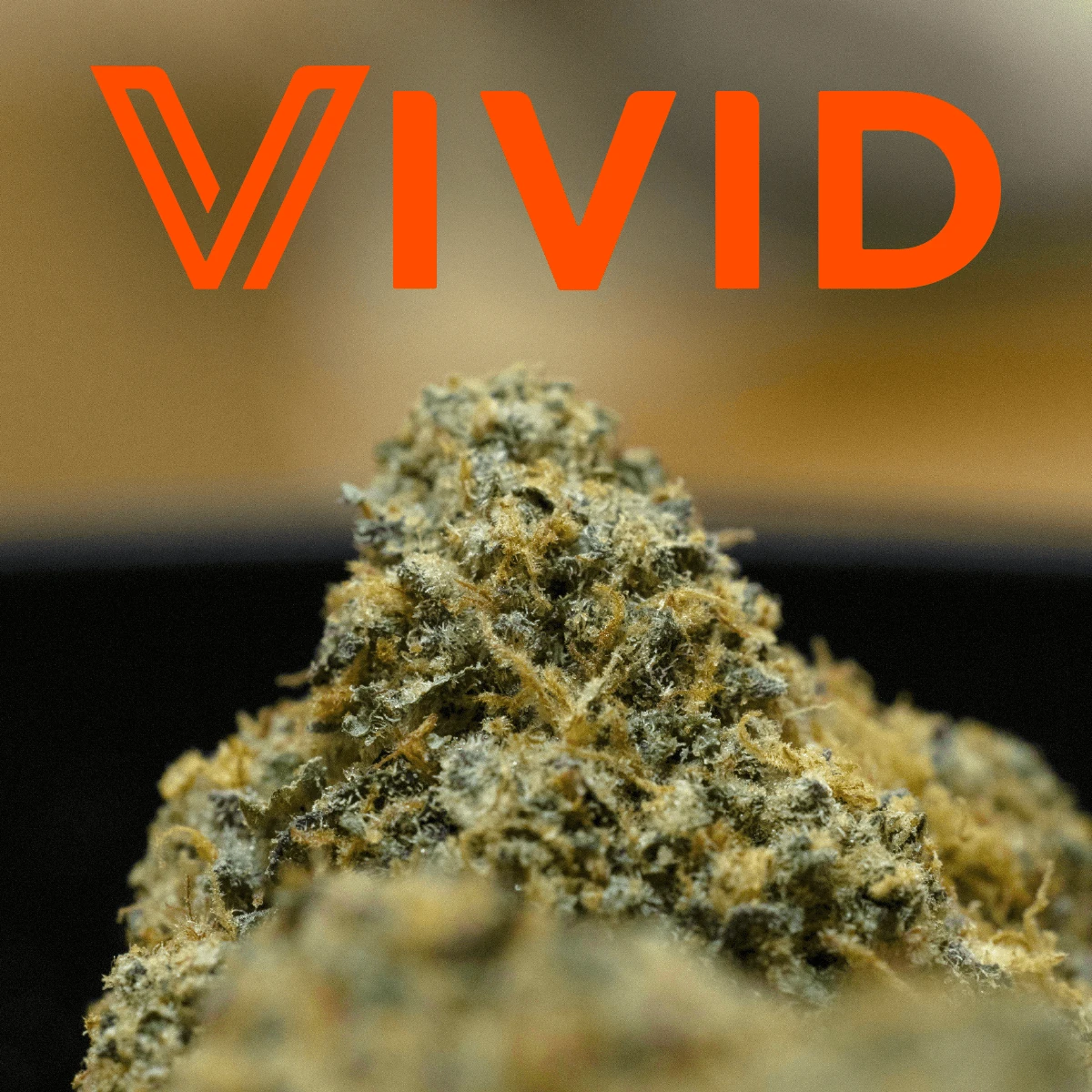 “RS11” by Vivid