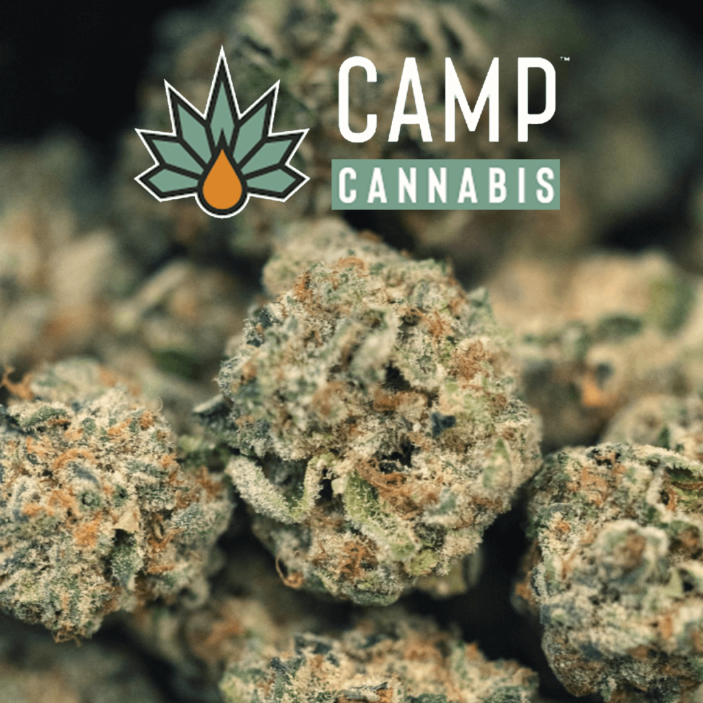 CAMP Cannabis