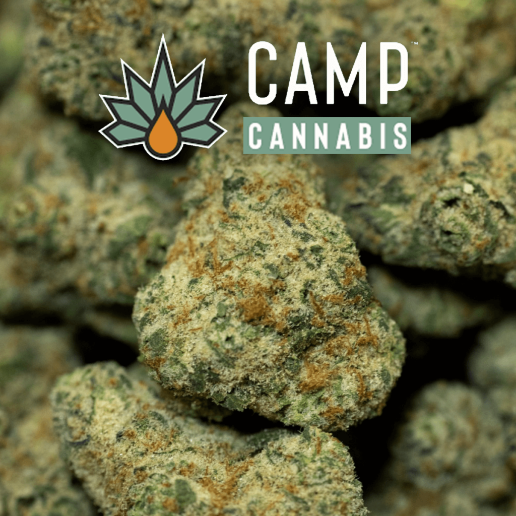 Camp Cannabis Pink Certs