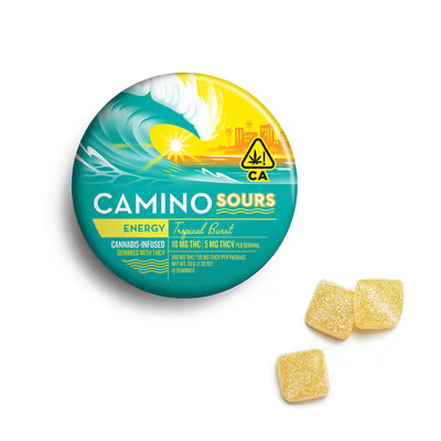 Camino Energy
