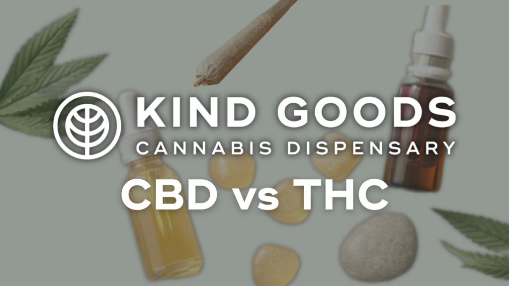 CBD vs. THC – Key Differences Every Beginner Should Know