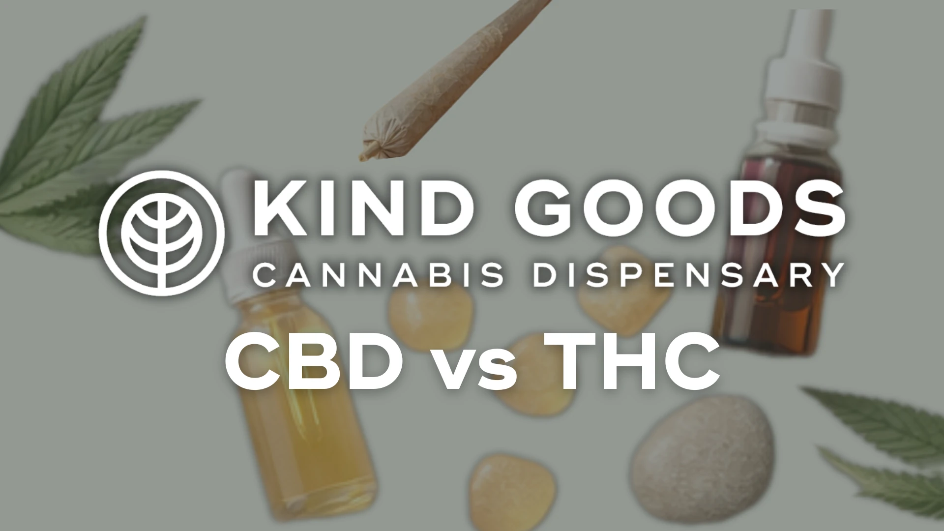 CBD vs. THC – Key Differences Every Beginner Should Know