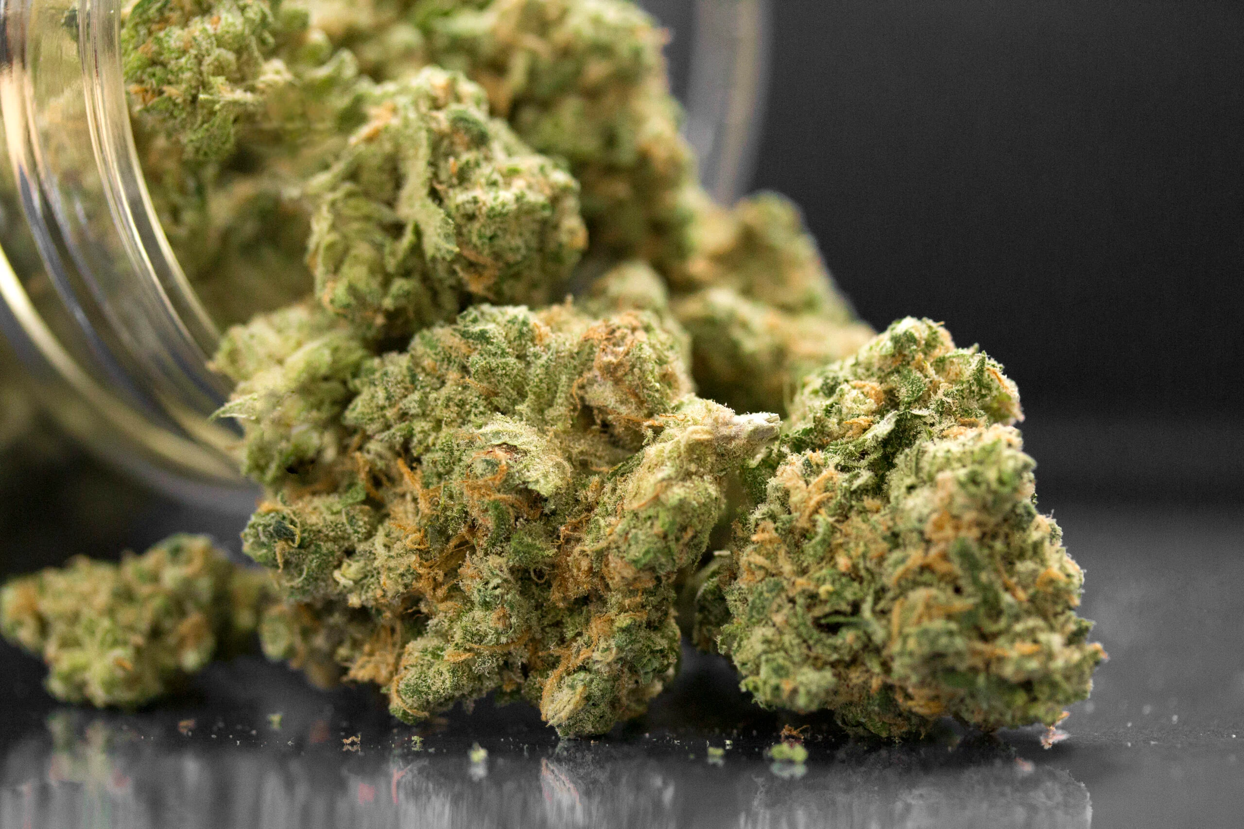 Deli-Style Cannabis – What It Is & Why Consumers Love It