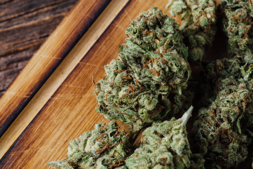 Cannabis 101 – A Beginner’s Guide to Strains, THC, and CBD