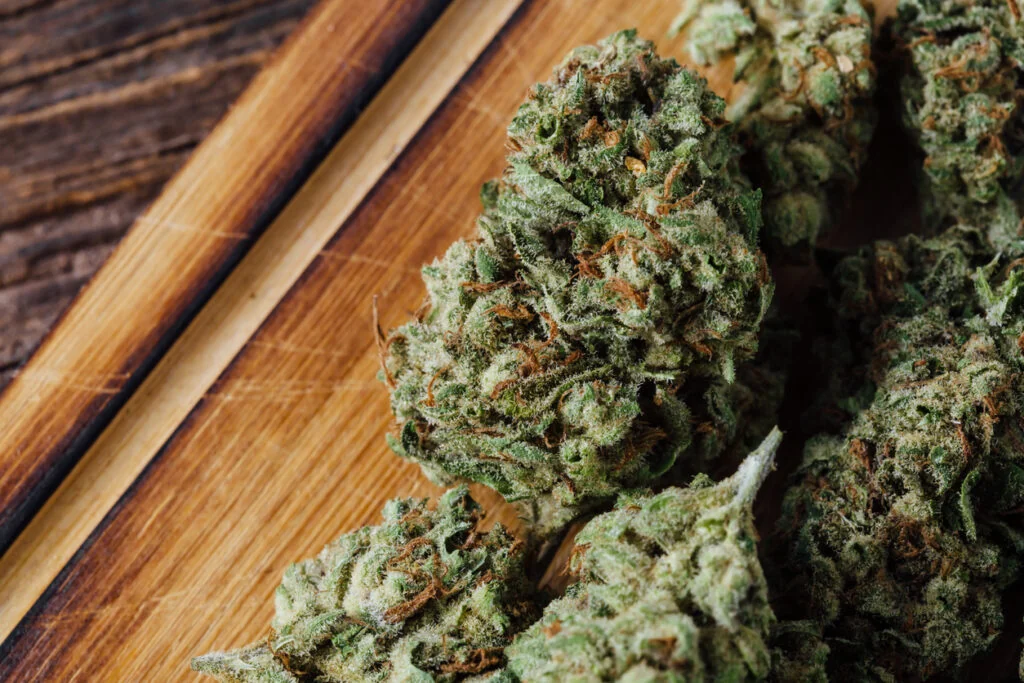 Cannabis 101 – A Beginner’s Guide to Strains, THC, and CBD