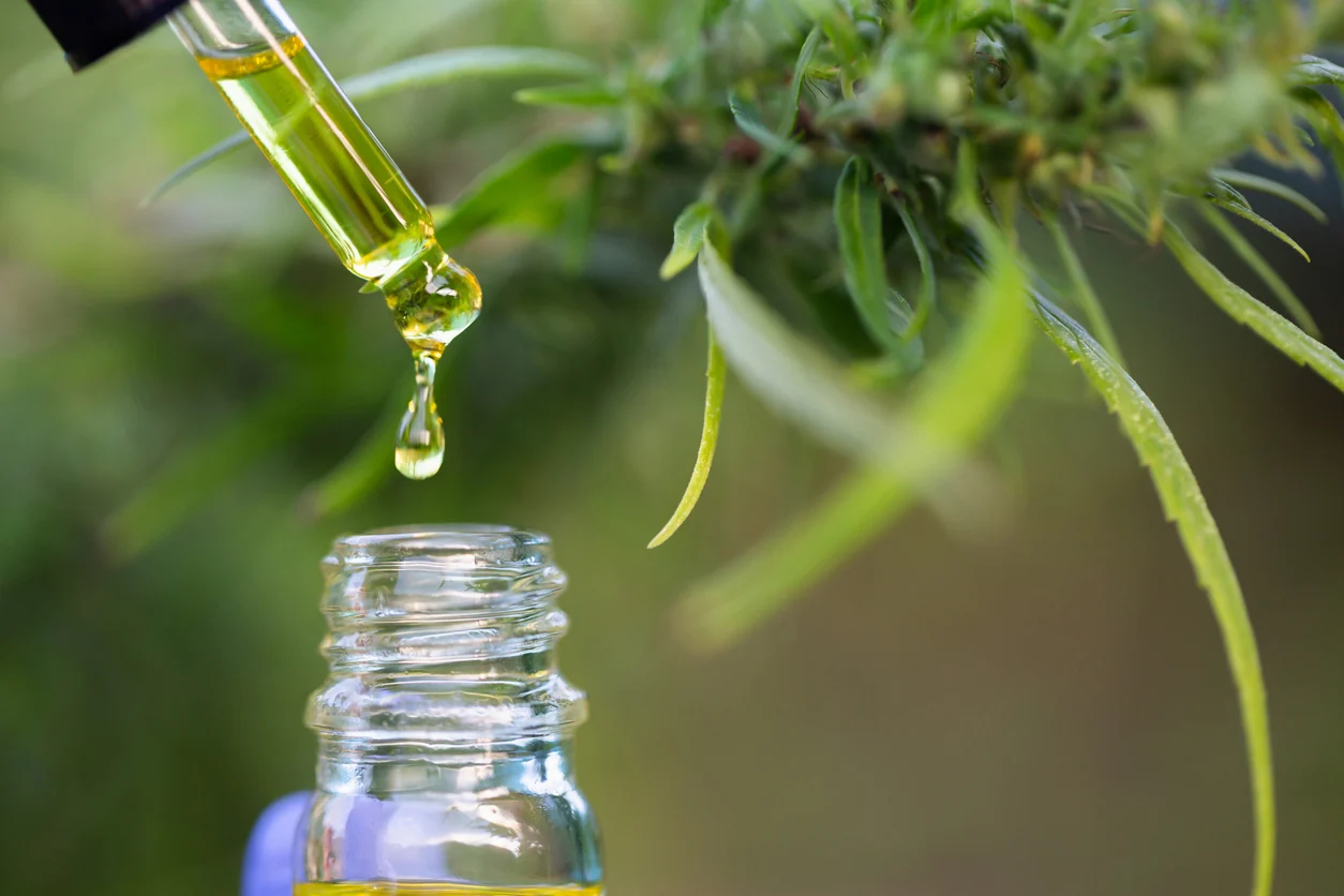 Anxiety, Chronic Pain, & Cannabis: Understanding How It Can Help