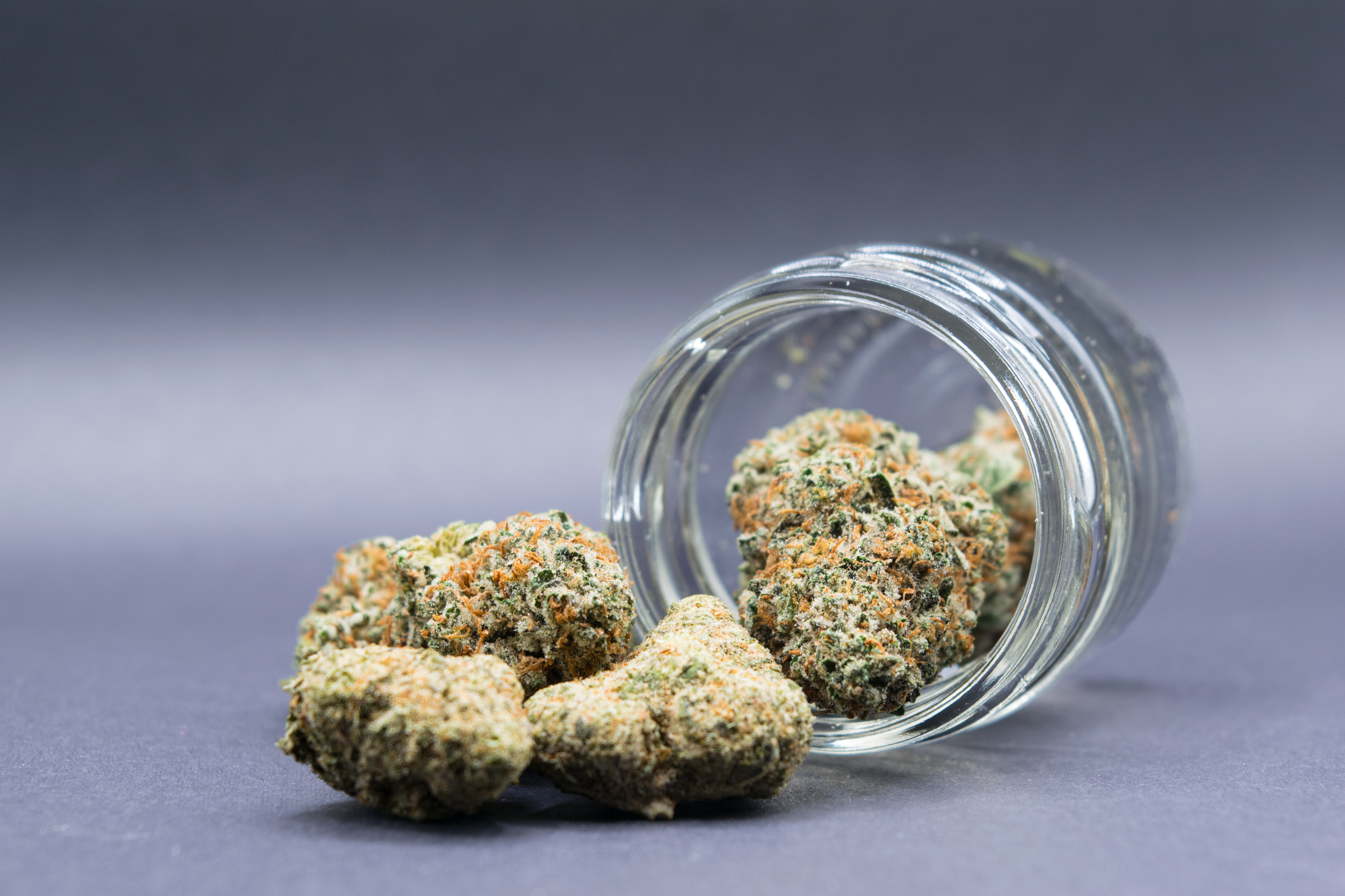 Indica vs. Sativa vs. Hybrid: Which Weed Strain is Right for You?