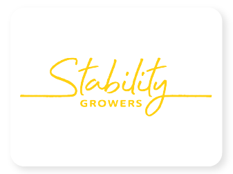 Logo_Stability