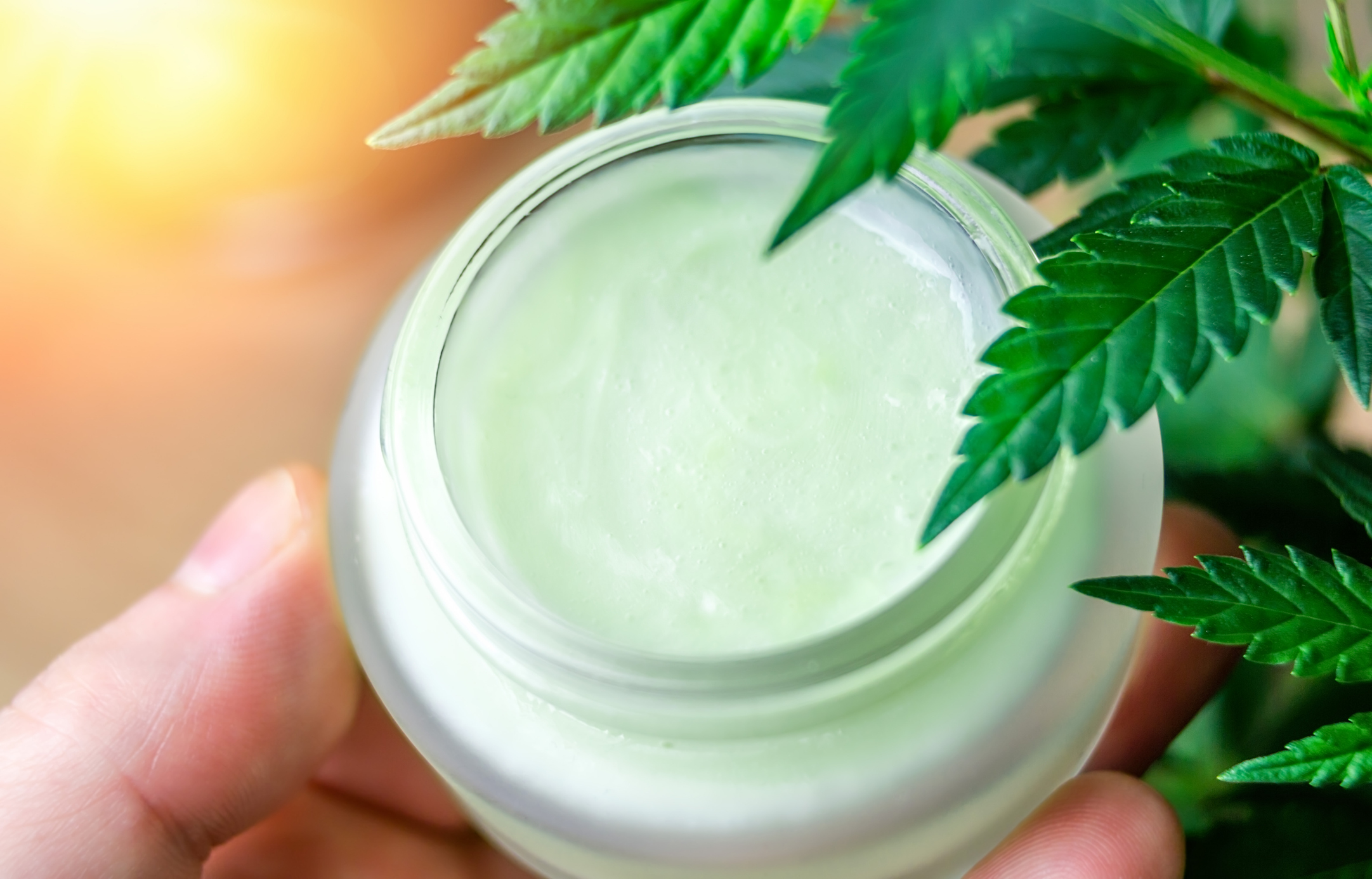 Cannabis Topicals 101: Balms, Lotions, and Patches Explained