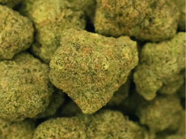 Daybreak Cannabis Zkittles x Do-Si-Do flower
