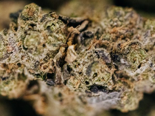 GMO-FloraFarms-cta