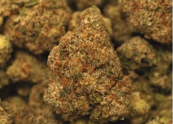 In The Flow Boutique Cannabis Chemmy Jones Flower