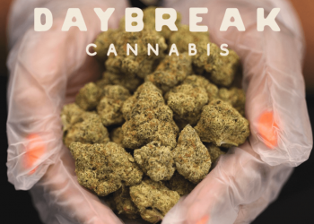 KG Choice Cuts Daybreak Cannabis Tangiez x Do Si Do