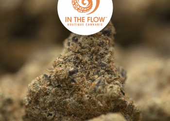 Modified Grapes by In the Flow Cannabis