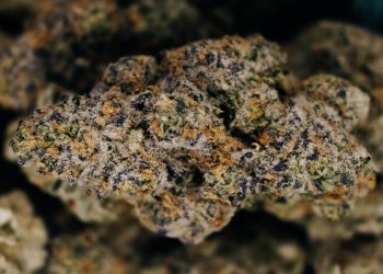 bluearrow-weddingcrasher-cta