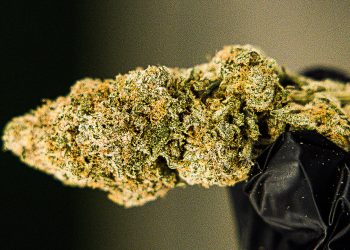 blueberry-muffin-blog-cta