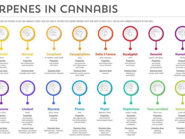 cannabis-terpenes (1)