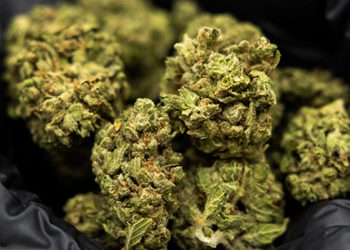 In-Store deals (hands holding weed)