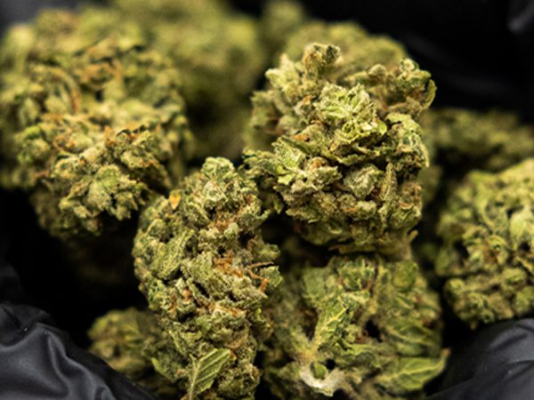 In-Store deals (hands holding weed)