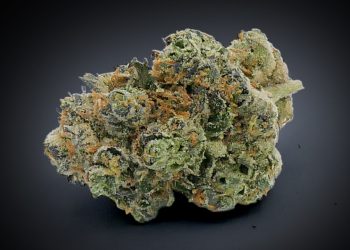 gmo-cookies-choice-cuts-cta