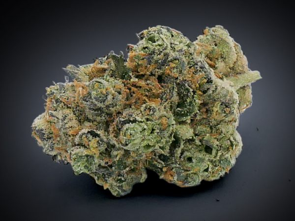 gmo-cookies-choice-cuts-cta