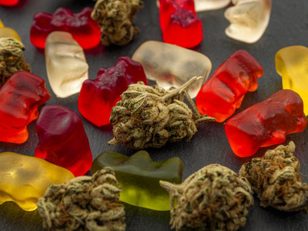 Cannabis edibles, medical marijuana, CBD infused gummies and edible pot concept theme with close up on colorful gummy bears and weed buds on dark background