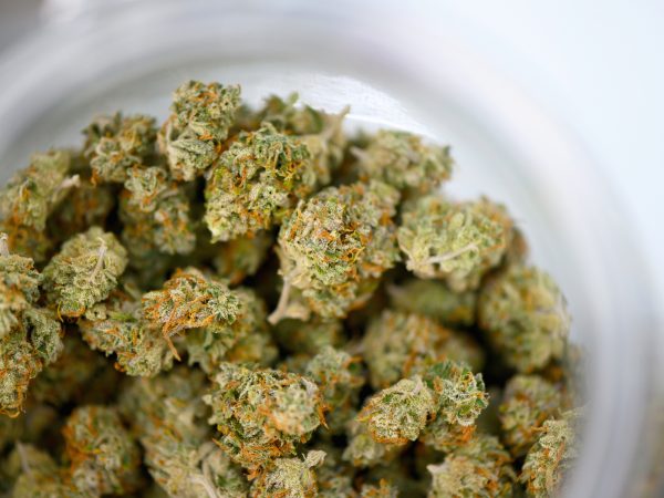 Marijuana buds in a bowl, medical or recreative, copy space