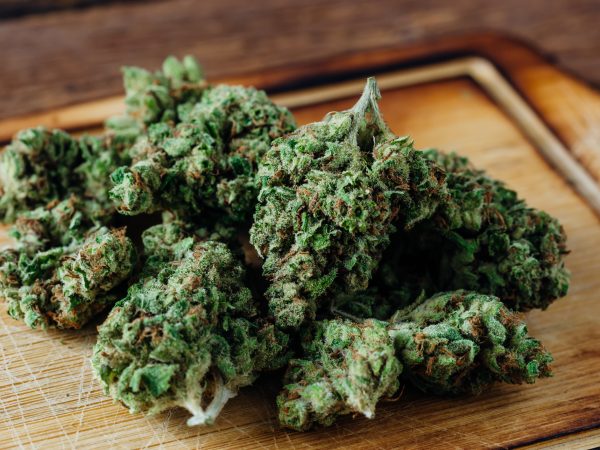 cannabis flower on wooden background