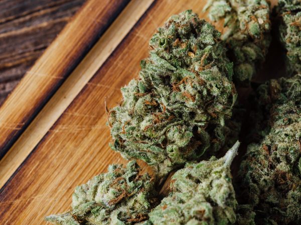close-up dried cannabis flowers