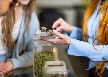 Photo of customer and employee interaction within a veteran owned cannabis dispensary in Warren County, Oregon.