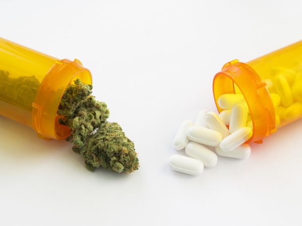 Two orange pill bottles laying down facing one another.  One is filled with marijuana flower buds and the other is filled with white prescription pills.  Studio shot on a white background.