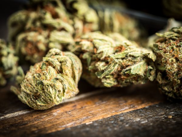 Heap of marijuana