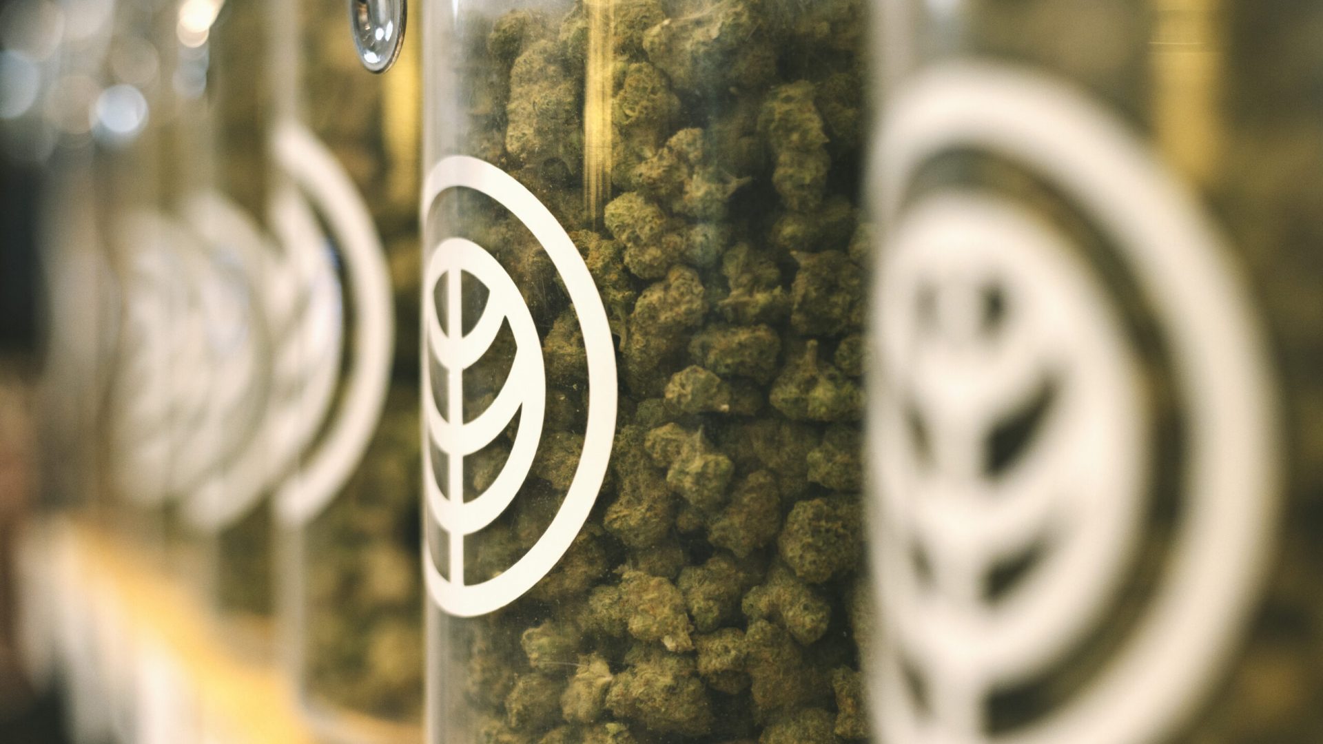 kg – march 18th – 1 Deli Style Cannabis