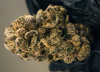 strawberry-cookies-blog-cta