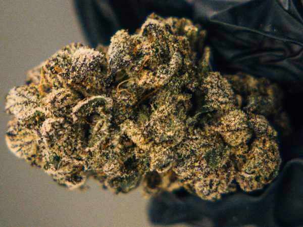 strawberry-cookies-blog-cta