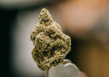 thursday-banner2-Caps-Frozen-Lemons